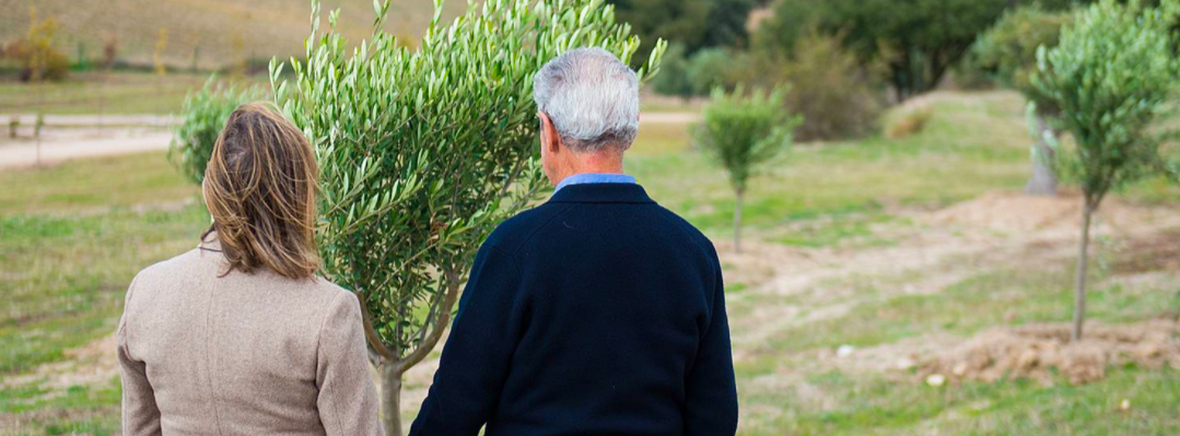 Captura de pantalla 2021-01-09 a las 15.45.27 20 minutos